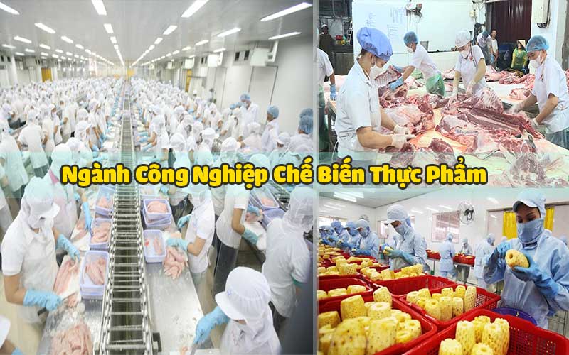 Ngành công nghiệp chế biến thực phẩm của nước ta đang phát triển